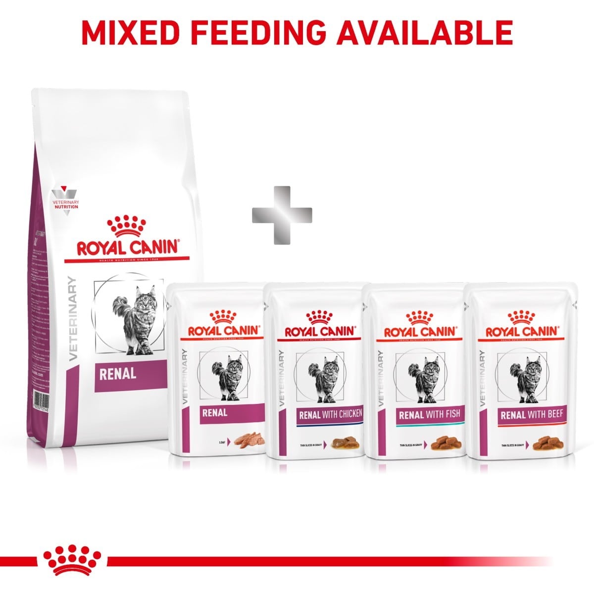 Royal Canin Renal Dry Food for Cats
