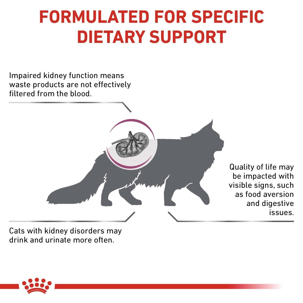 Royal Canin Renal Special Dry Food for Cats