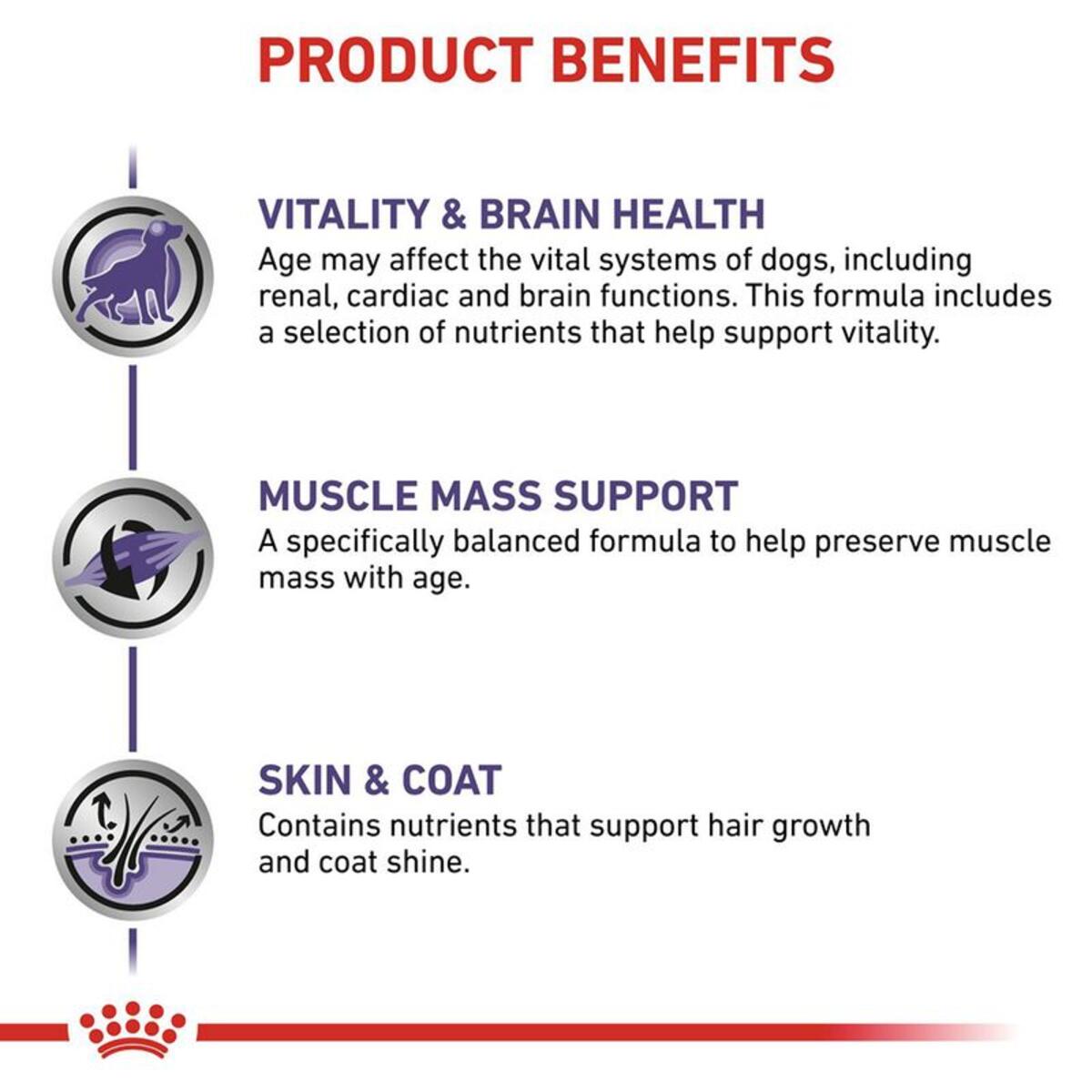 Product benefits for a pet supplement including vitality, brain health, muscle mass support, and skin & coat care.