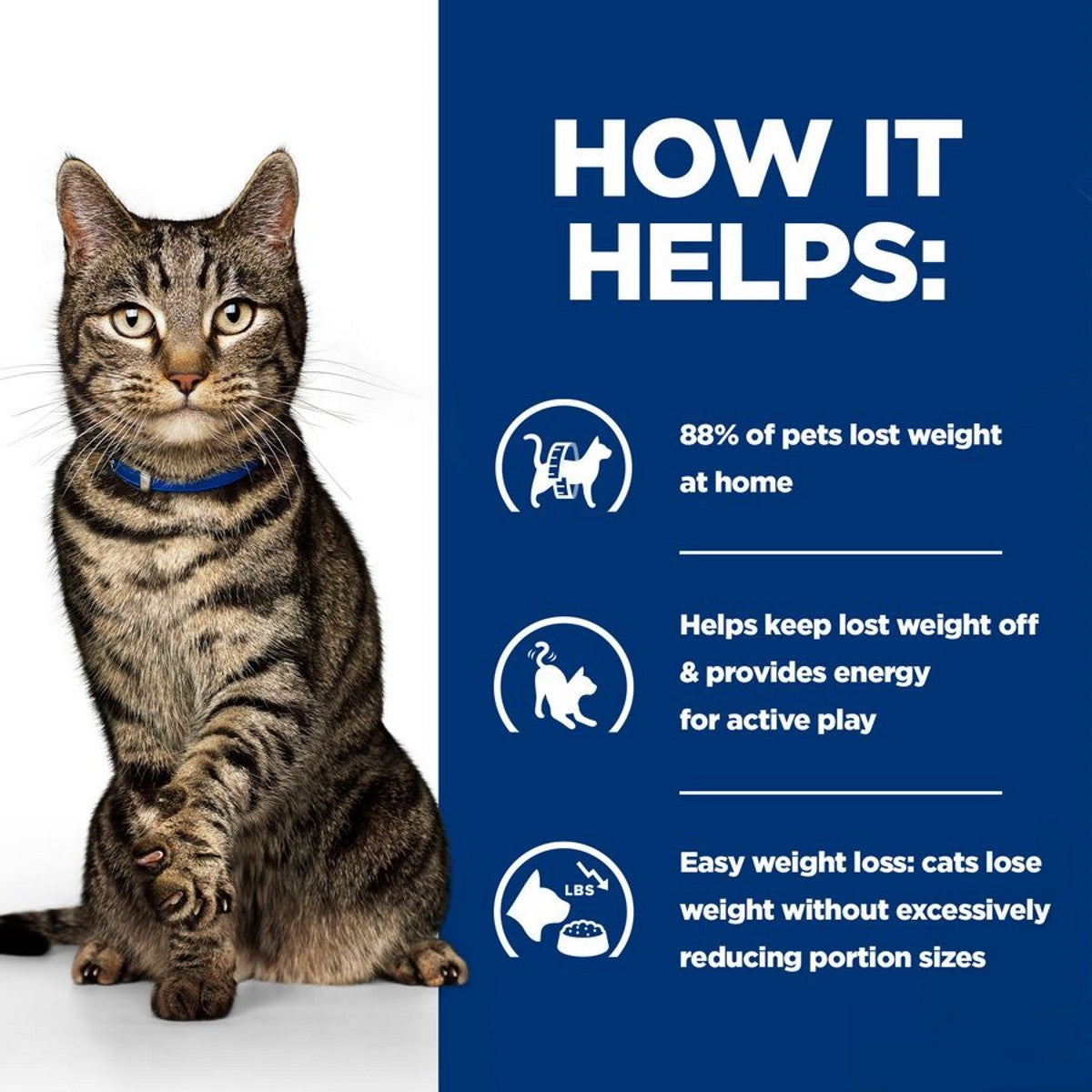 Cat food for metabolism