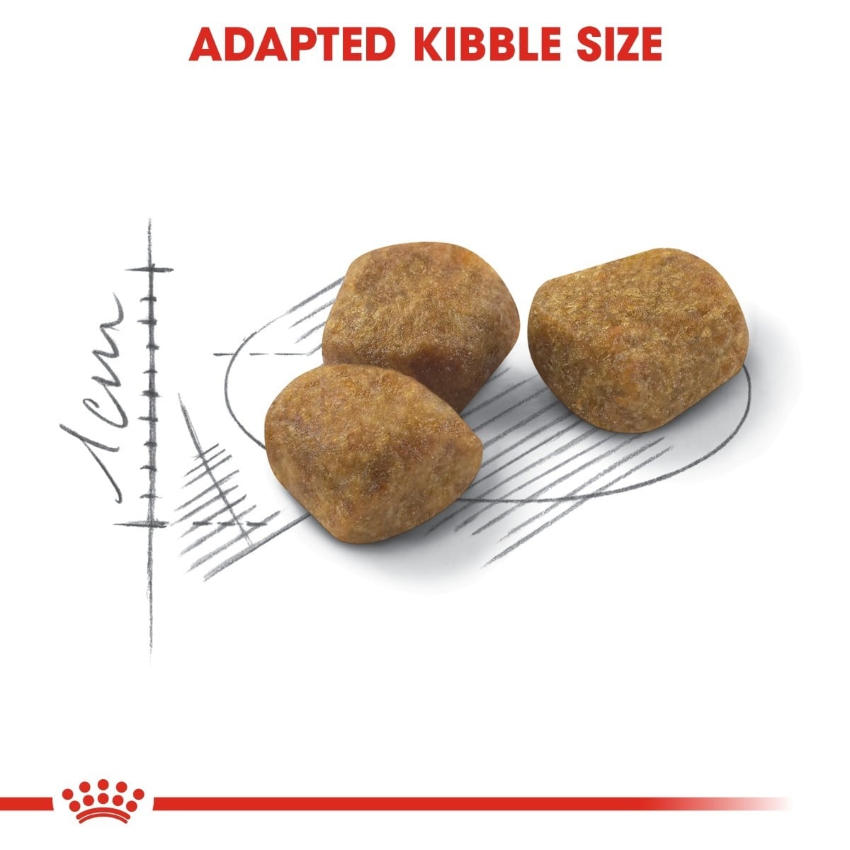 Three brown kibble pieces with a measurement scale and text indicating 'Adapted Kibble Size' on a white background.