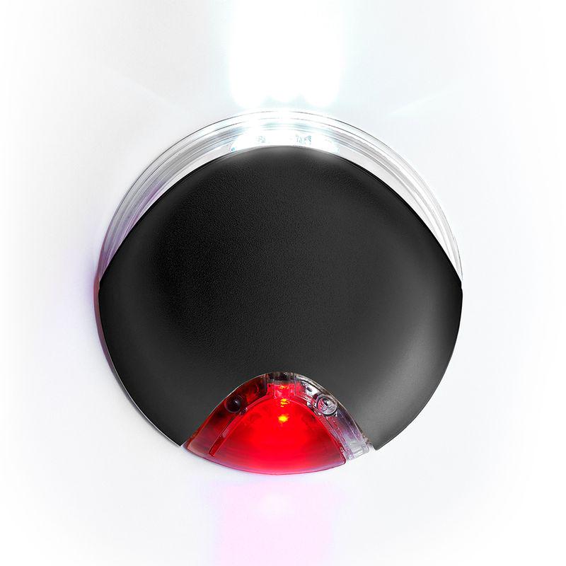 dog leash for walking