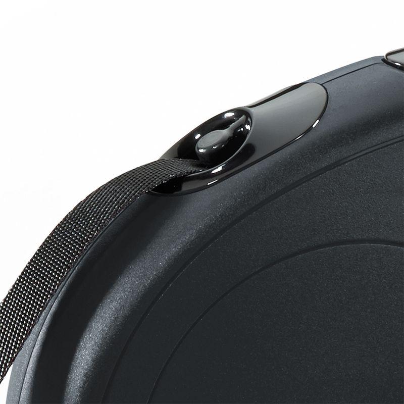 Retractable tape leash