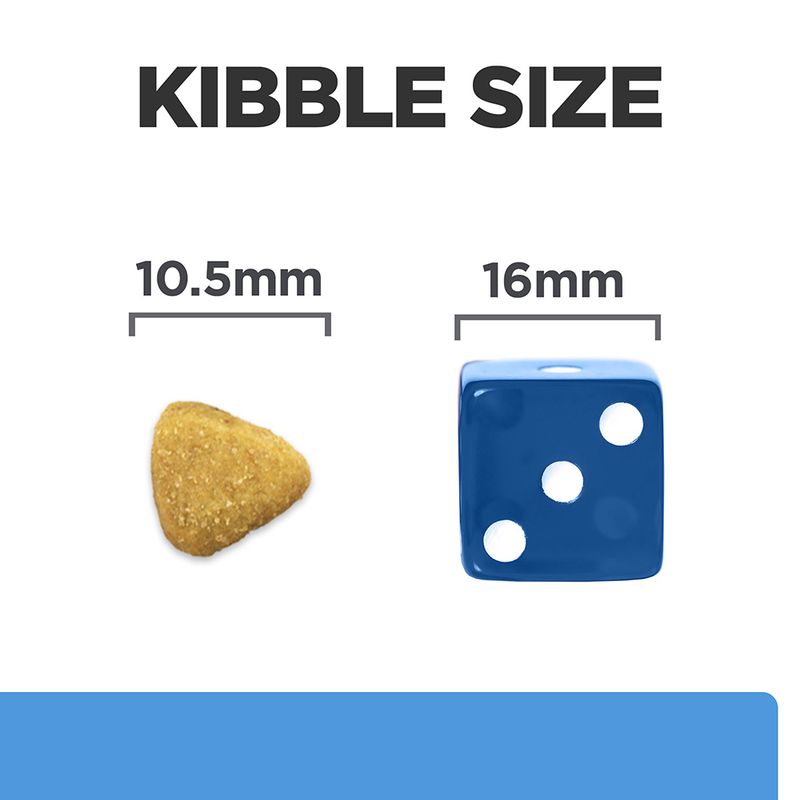 Comparison of kibble size with a gold kibble and blue die on a white background