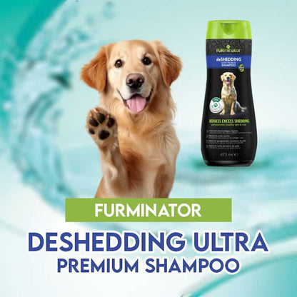 Dog with a paw raised, next to a bottle of Furminator deshedding shampoo on a blue background