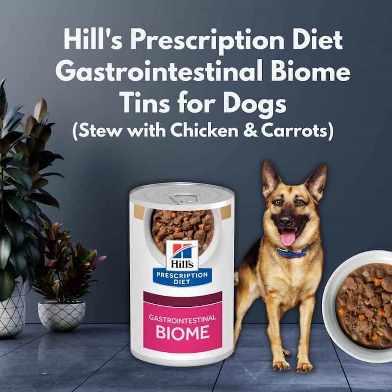 Hill's Prescription Diet Gastrointestinal Biome Tins for Dogs with a dog and food bowl on a dark surface.