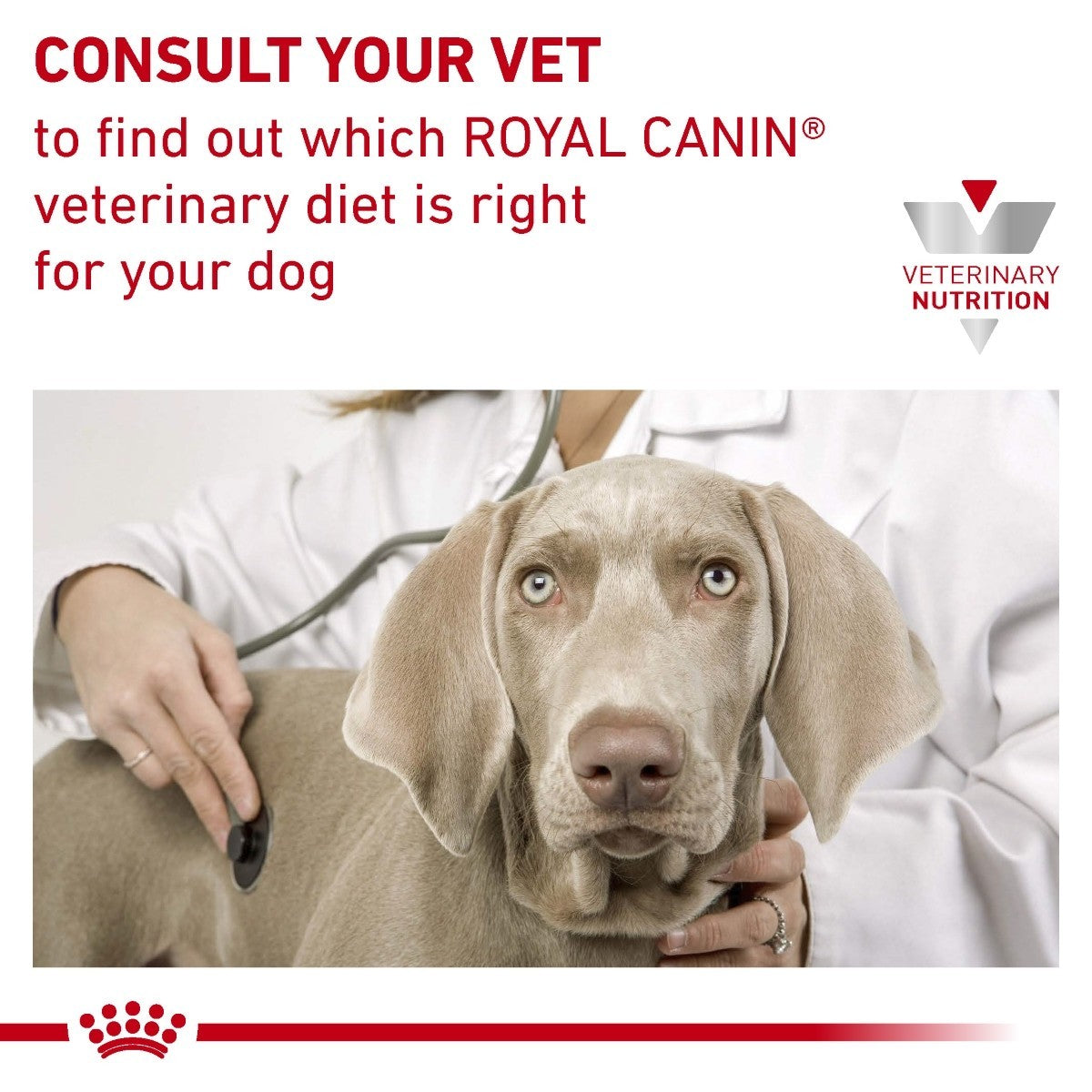 Dog being examined by a vet with Royal Canin Veterinary Diet text and logo.