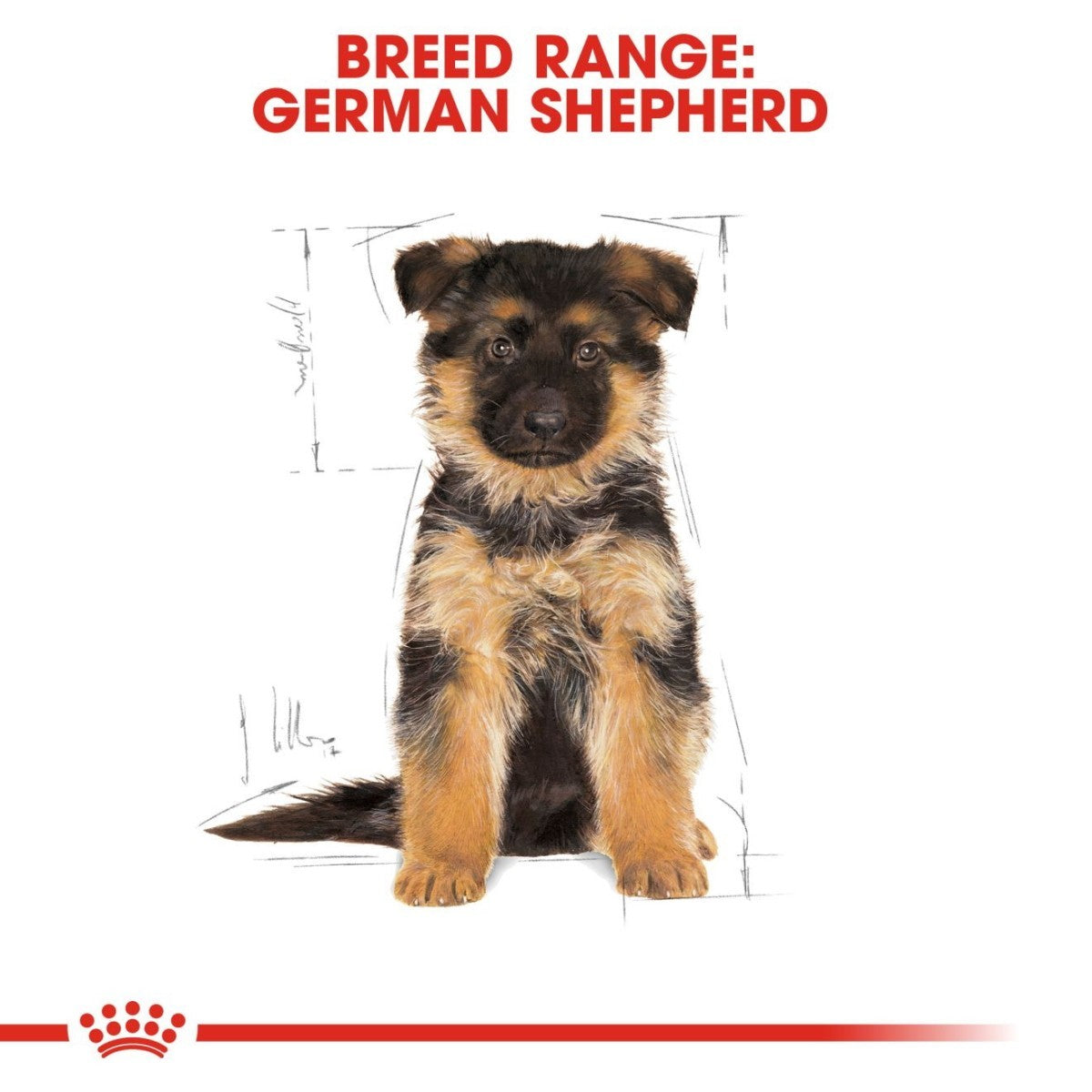 German Shepherd puppy with breed range text and Royal Canin logo.