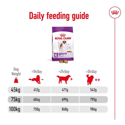 Royal Canin Giant Daily Feeding Guide chart on a white background