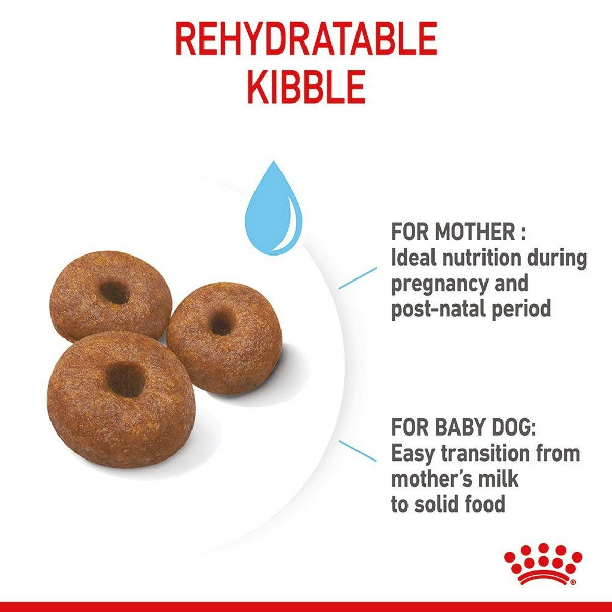 Rehydratable kibble for mother and baby dog with text on a white background
