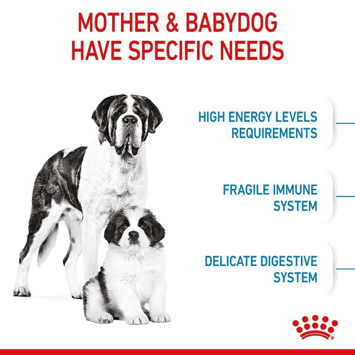 Advertisement for dog food showing a mother and baby dog with text about their needs.