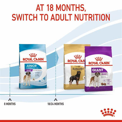 Royal Canin dog food packages for different life stages on a white background