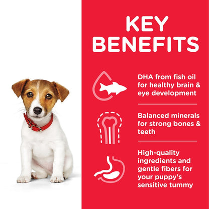 Dog with a red background and key benefits text on a product label.