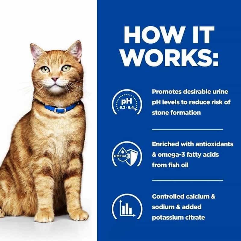 Cat with a blue collar on a white background, next to text about pet product benefits.