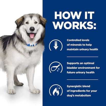 Dog with a blue background and text about urinary health and bladder environment.