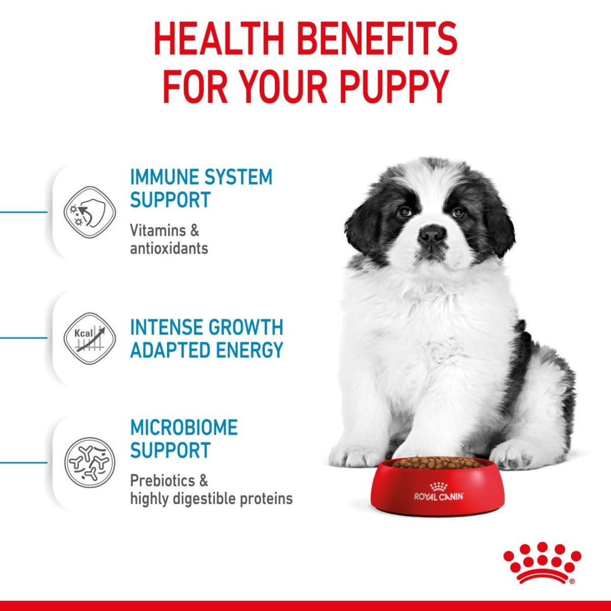 Advertisement for Royal Canin puppy food with a puppy sitting next to a bowl, highlighting health benefits.