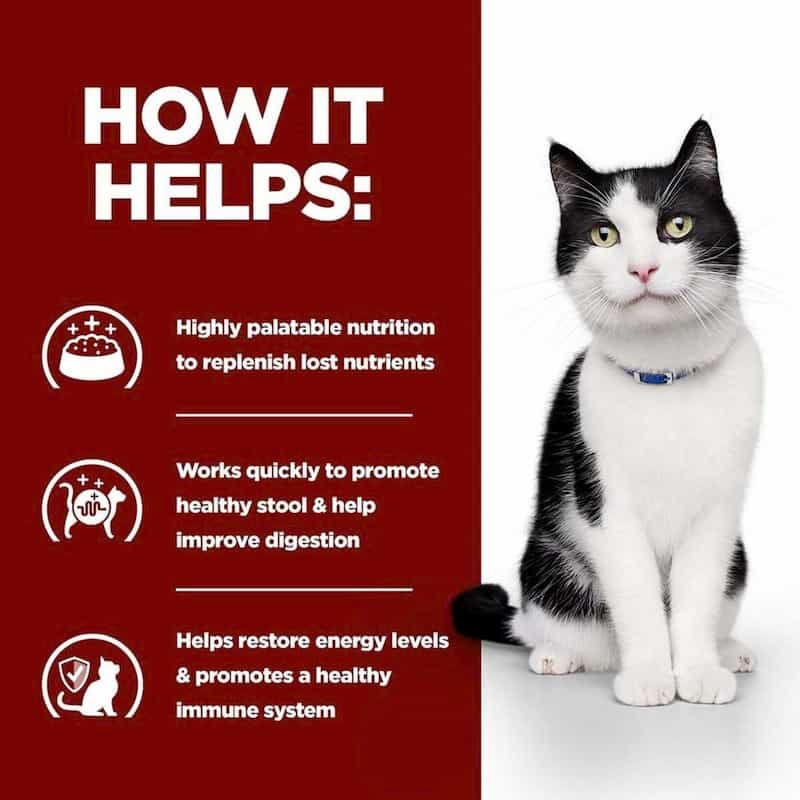 Cat with text on nutrition benefits on a red and white background