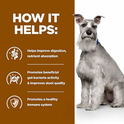 Dog with text on how it helps improve digestion, promote gut bacteria activity, and support a healthy immune system.