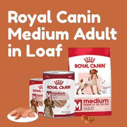 Royal Canin Medium Adult dog food packaging on an orange background