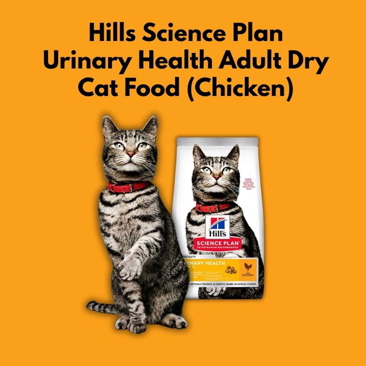 Hills Science Plan Urinary Health Adult Dry Cat Food with a cat on an orange background