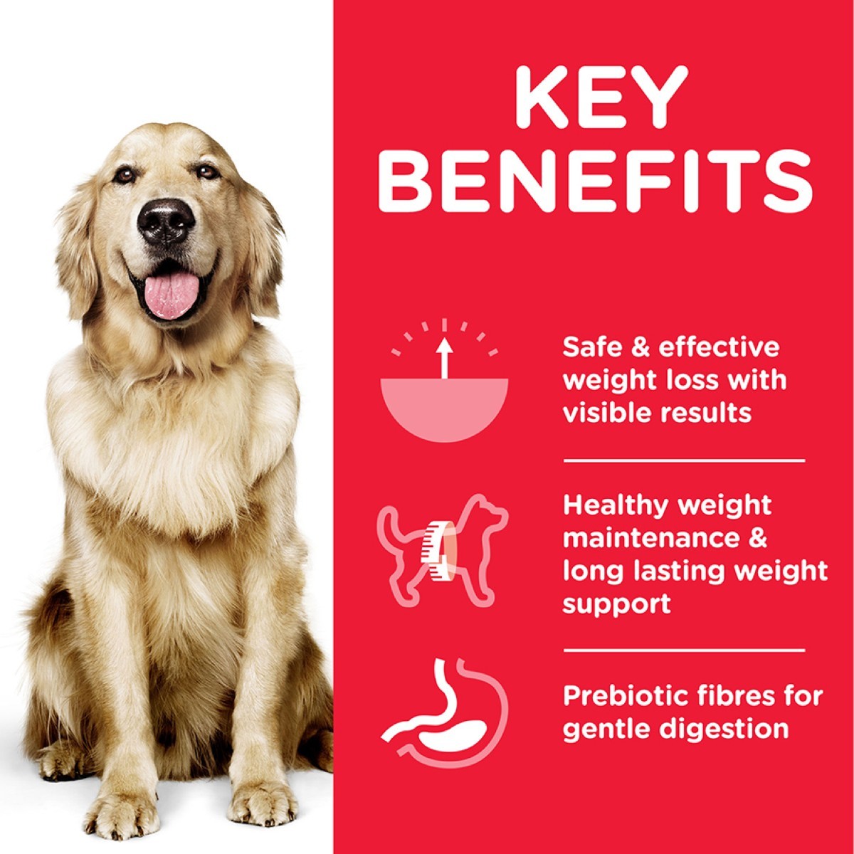 Weight support dog food