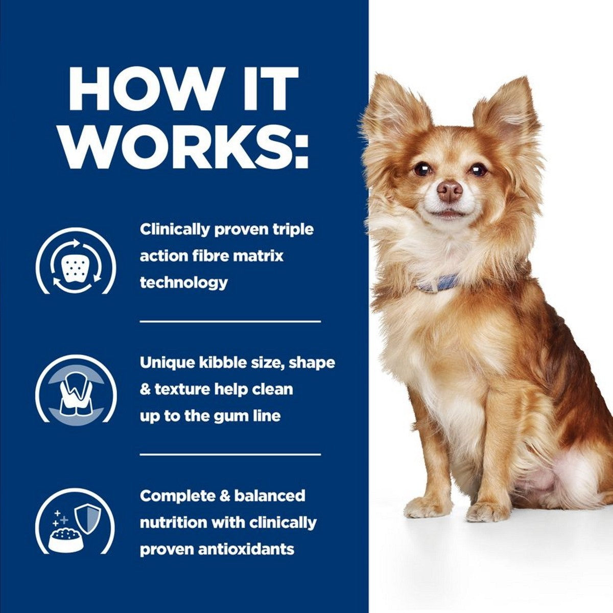 Prescription oral dog food