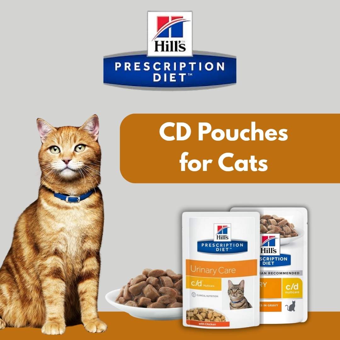 Hill’s c/d cat pouches