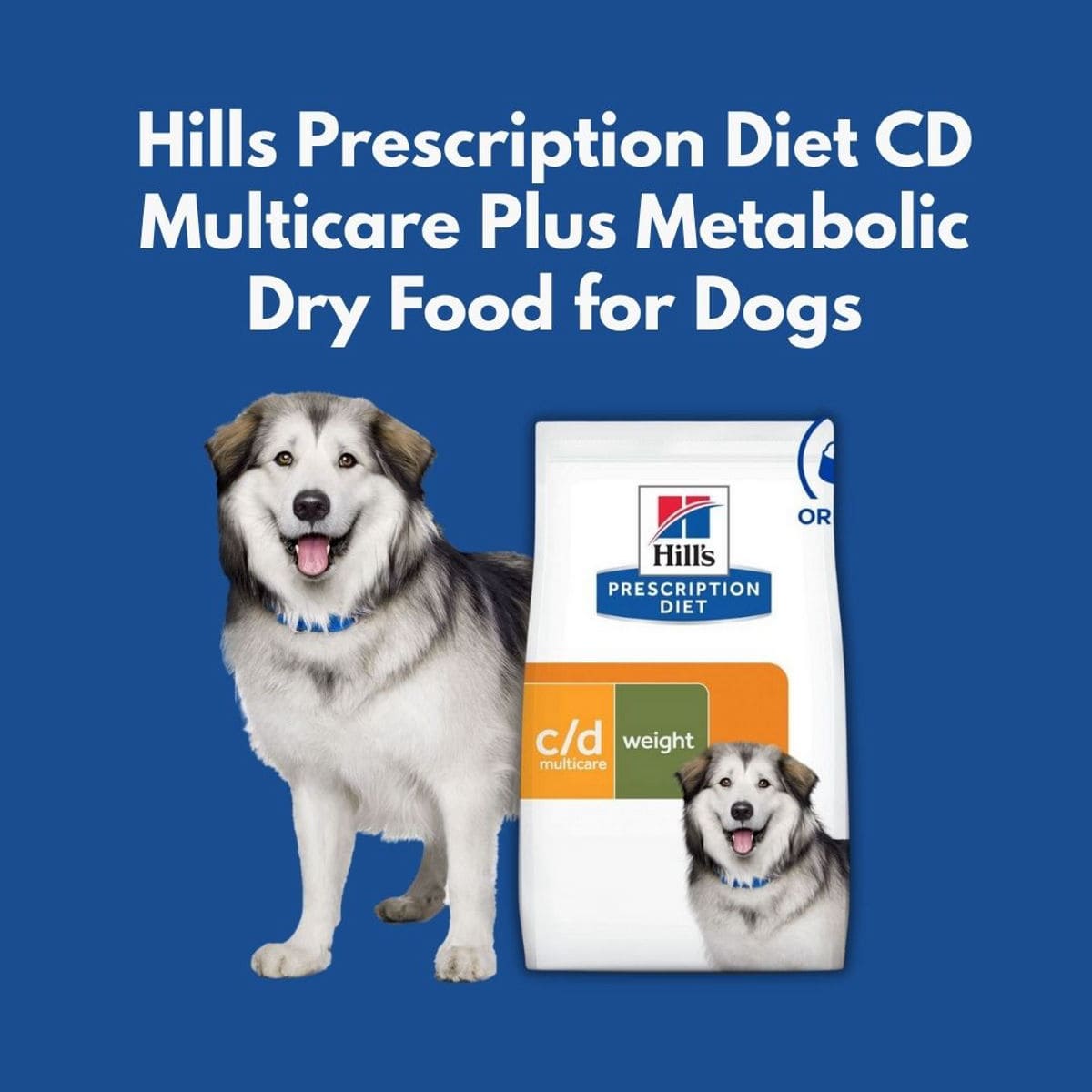 Hills Prescription Diet CD Multicare Plus Metabolic dry food for dogs with a dog on a blue background