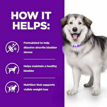 Dog with a purple background and text about bladder health benefits