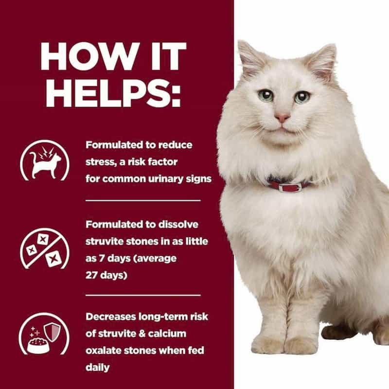 White cat with a red collar on a white background, next to text about pet health benefits.