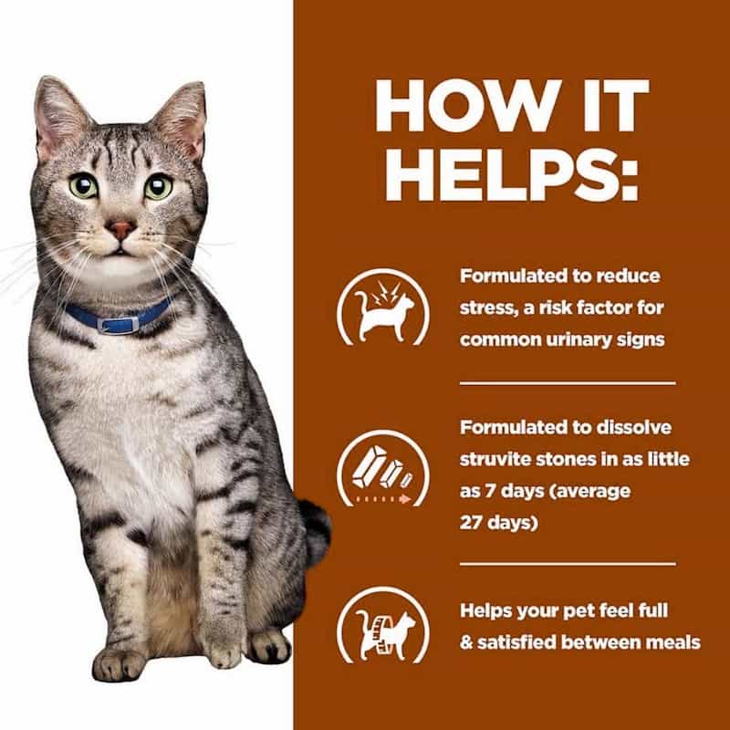 Cat with a brown background and text about pet product benefits