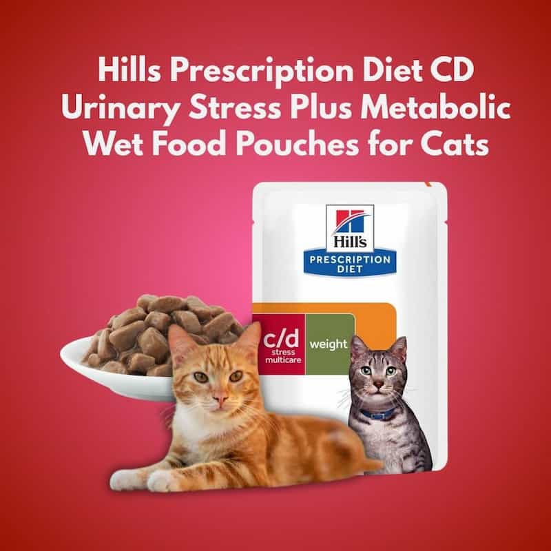 Hills Prescription Diet CD Urinary Stress Plus Metabolic Wet Food Pouches for Cats on a red background with cats and food.