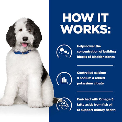 Dog with a blue background and text about bladder stone prevention