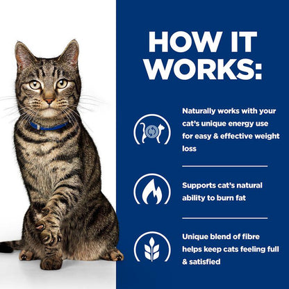 Weight management cat diet