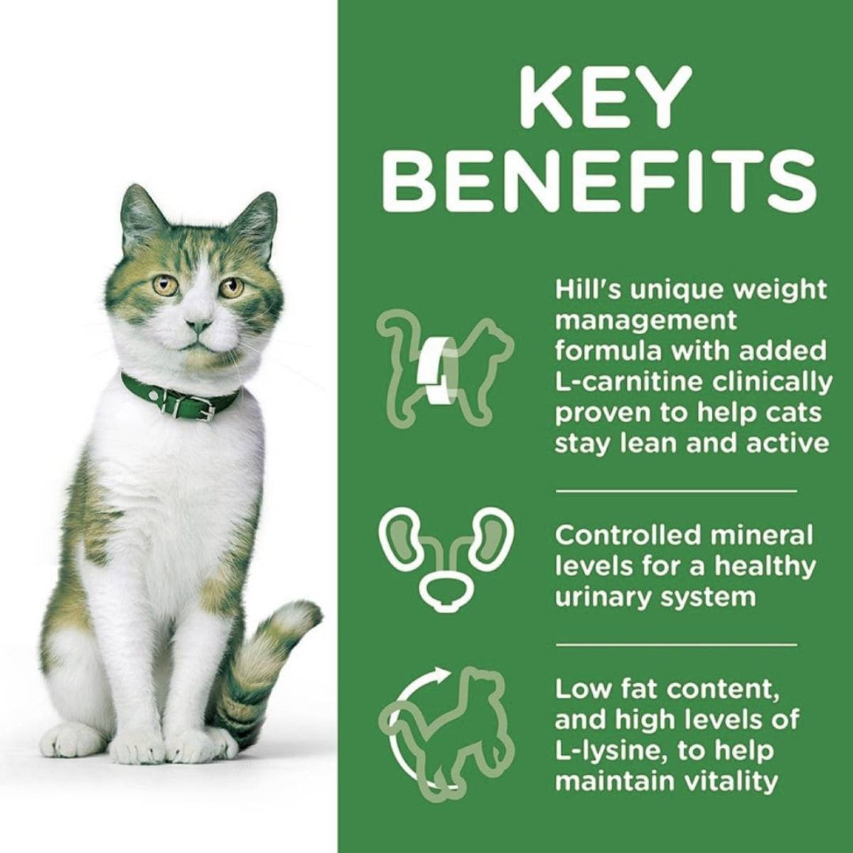 Cat with a green collar on a white background, next to text about Hill's cat food benefits.