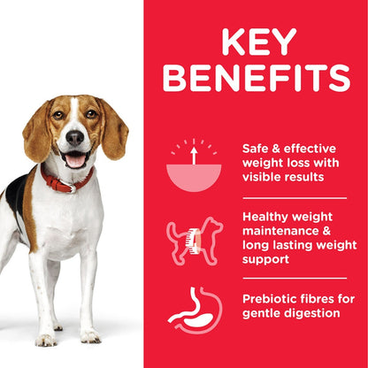 Dog with a red background and key benefits text on a white background