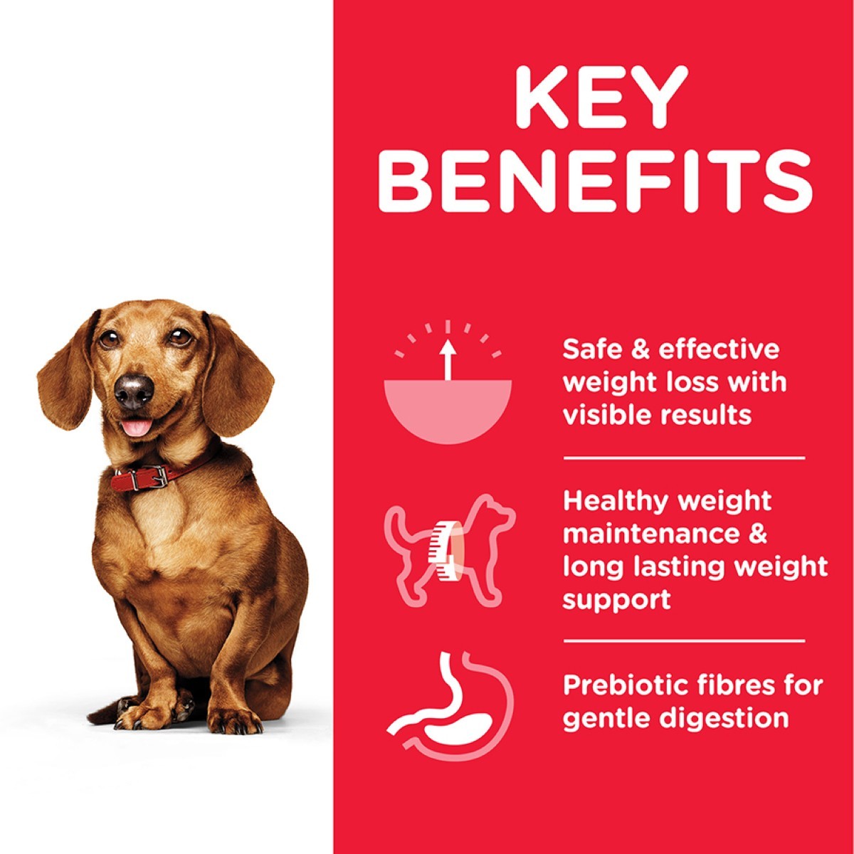 Healthy weight dog food