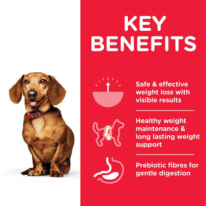 Healthy weight dog food