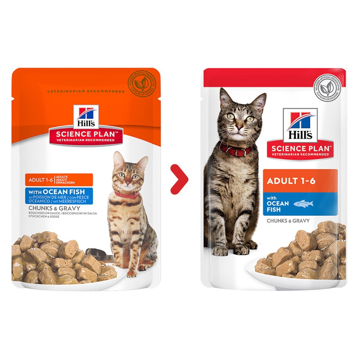 85g wet cat portions