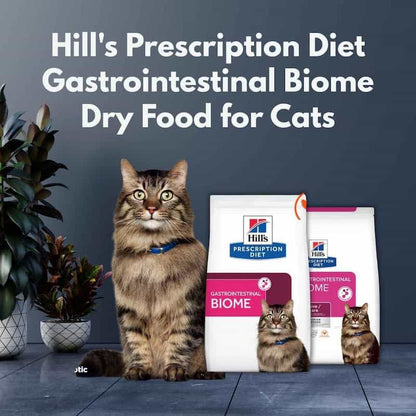 Cat sitting next to Hill's Prescription Diet Gastrointestinal Biome dry food packages on a gray background