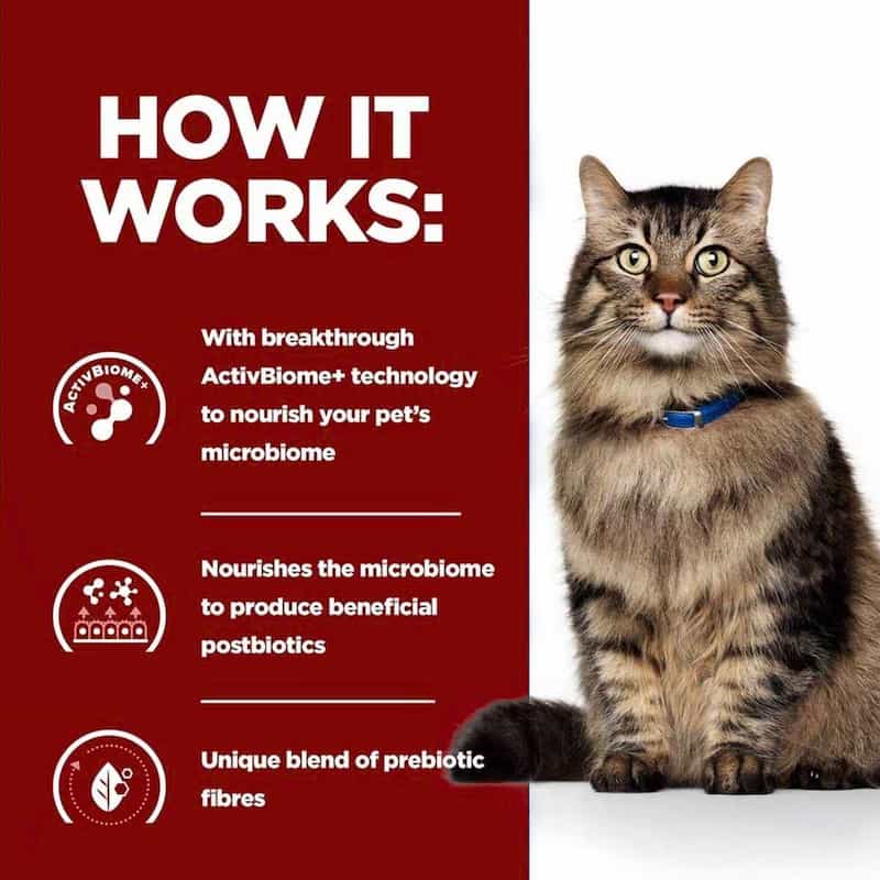 Cat with text explaining ActivBiome technology on a red background