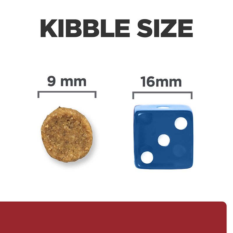 Comparison of kibble size to a blue die showing measurements.