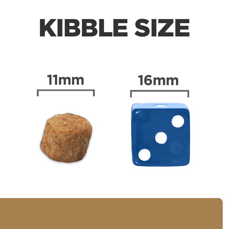Comparison of kibble size with a 11mm measurement and a blue die showing 16mm.