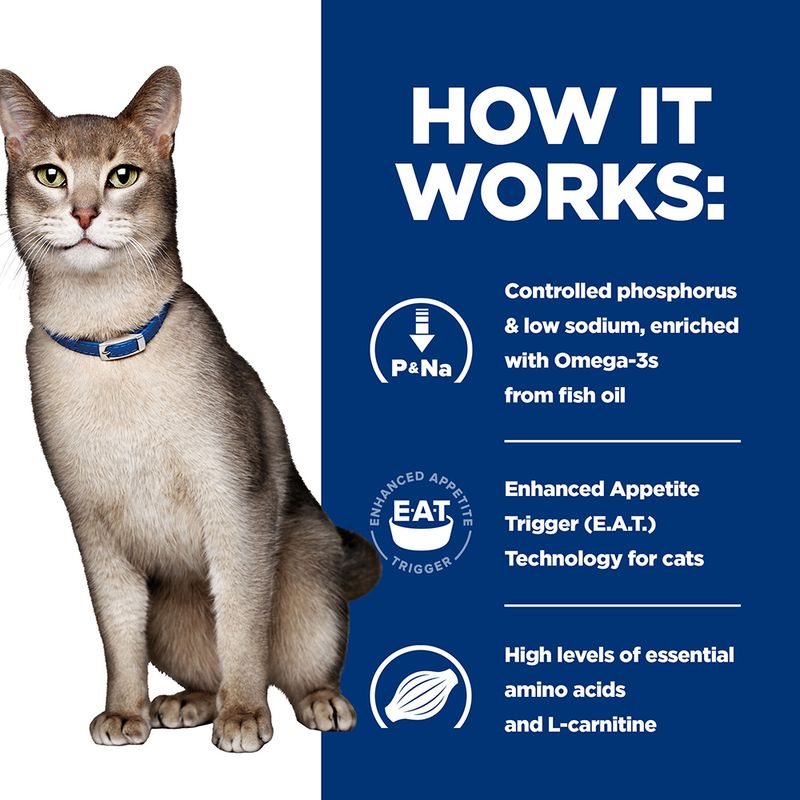 Cat with text explaining product features on a blue and white background