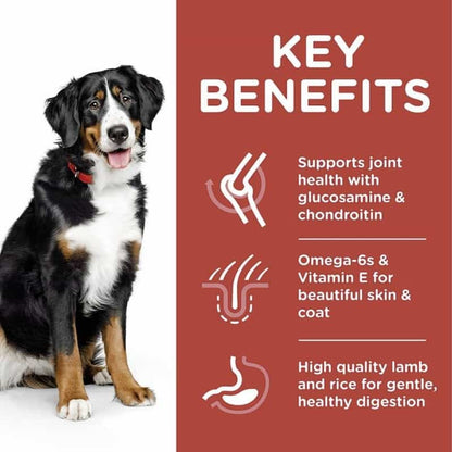 Dog with key benefits of a pet food product on a red background
