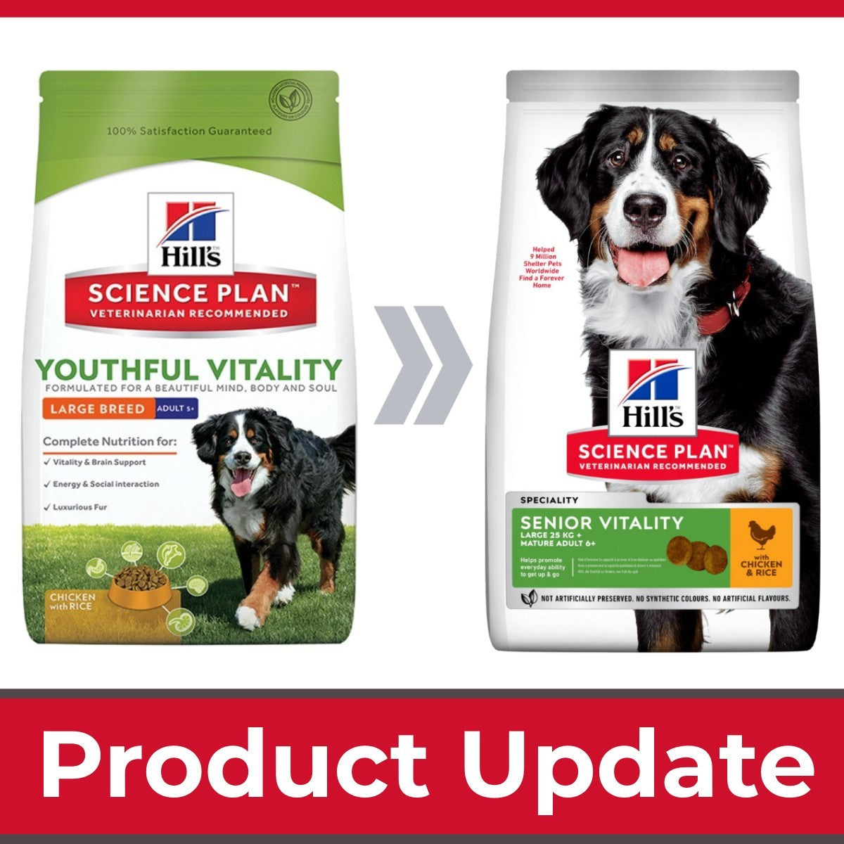 Two Hill's Science Plan dog food packages for youthful vitality and senior vitality with a Bernese Mountain dog on each.