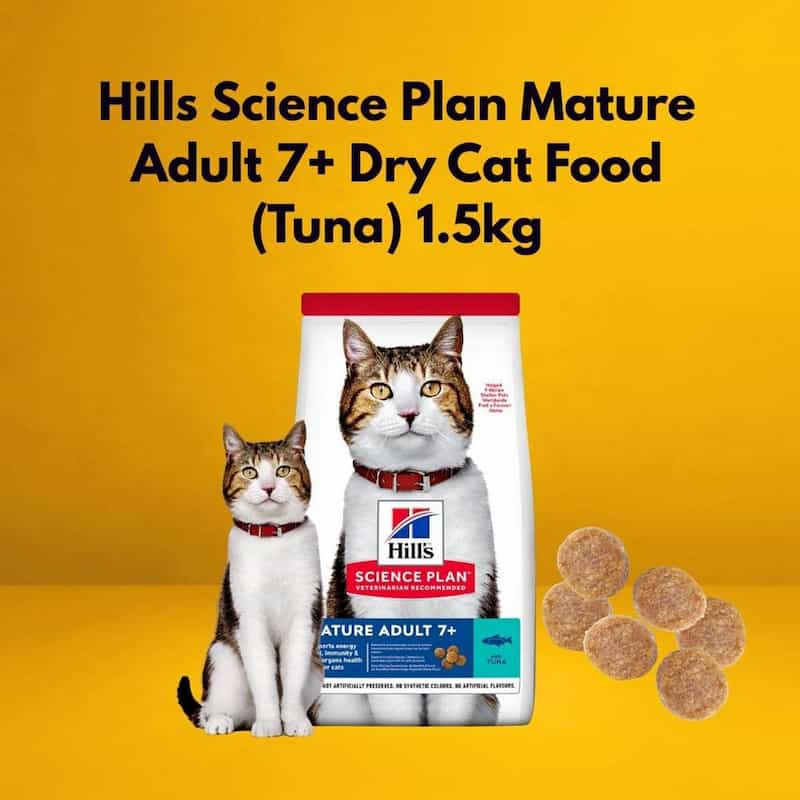 Hills Science Plan Mature Adult 7+ Dry Cat Food package with cats on a yellow background