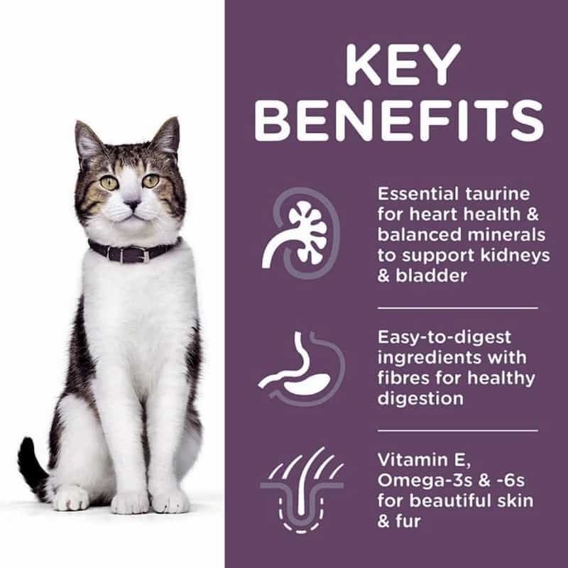 Cat with key benefits of a pet product on a purple background