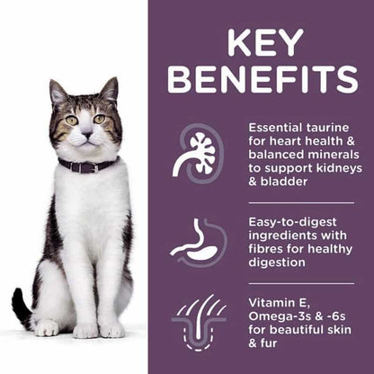 Cat with key benefits of a pet product on a purple background