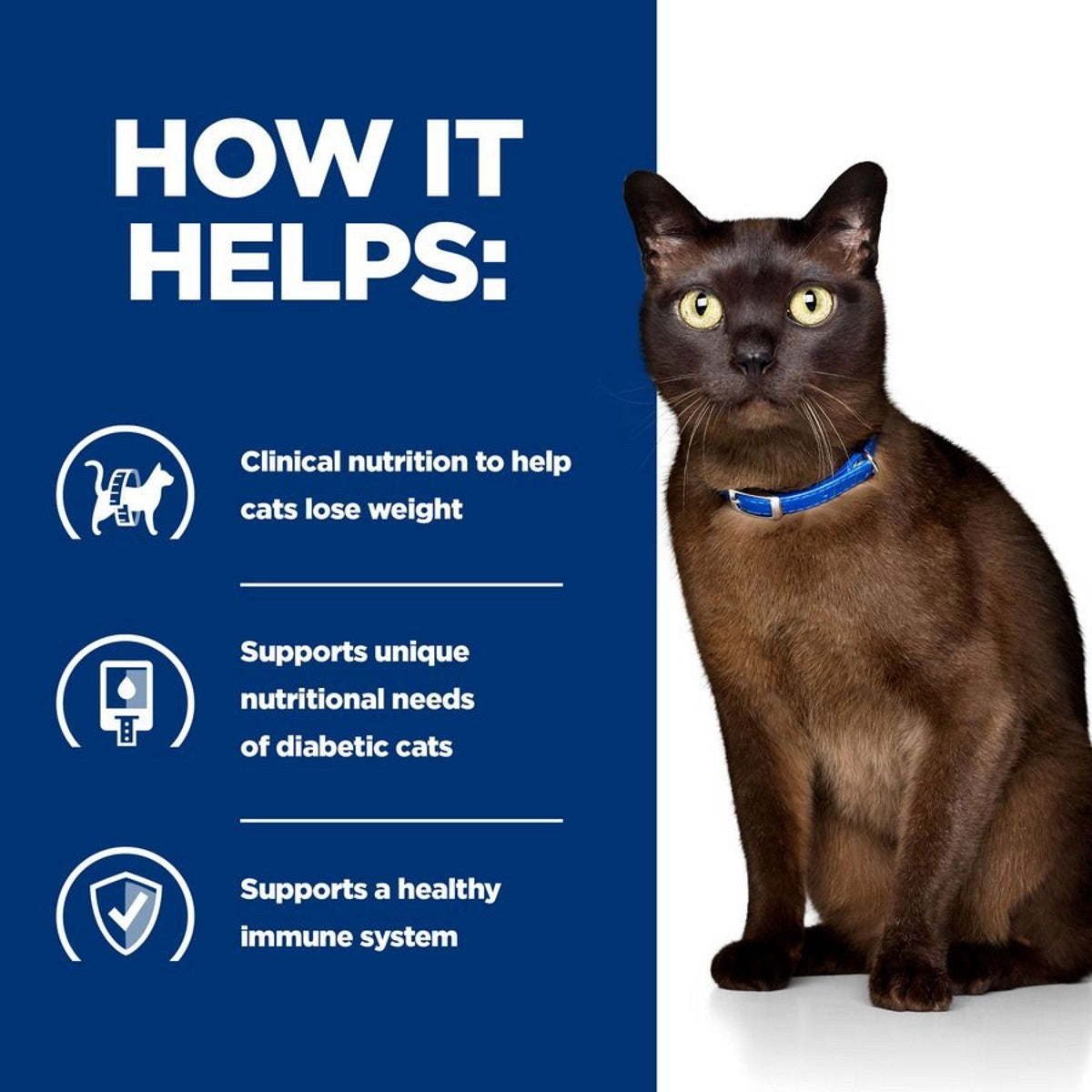 Prescription cat stew